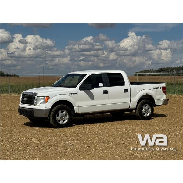 2009 FORD F-150 XLT CREW CAB PICKUP
