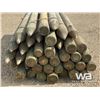 Image 5 : (39) 6 IN. X 8 FT. TREATED FENCE POSTS