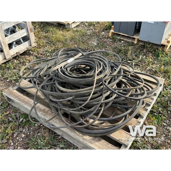 MISC. AUTOMOTIVE BELTS