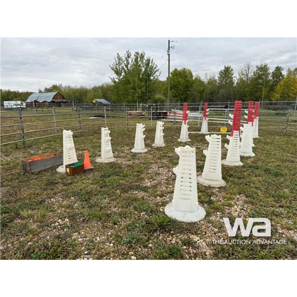HORSE JUMPING PILONS
