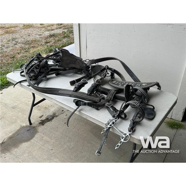 SINGLE LEATHER DRIVING HARNESS & BRIDLE