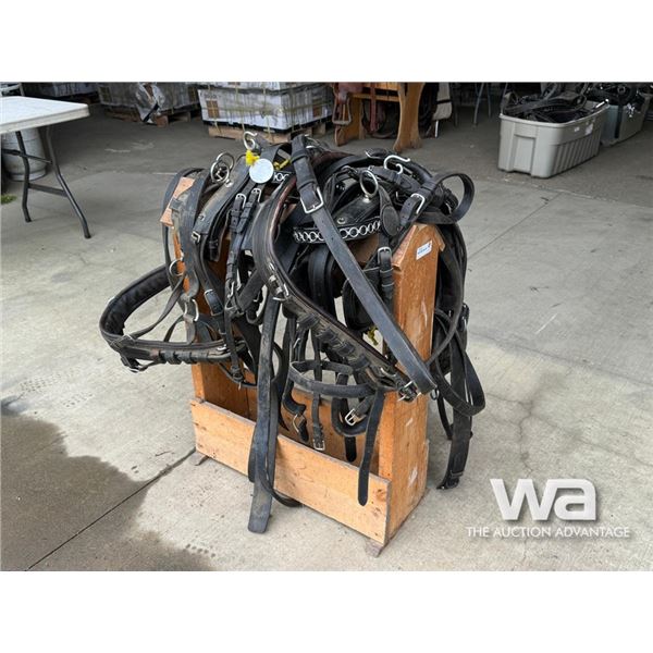 LEATHER TEAM HARNESS