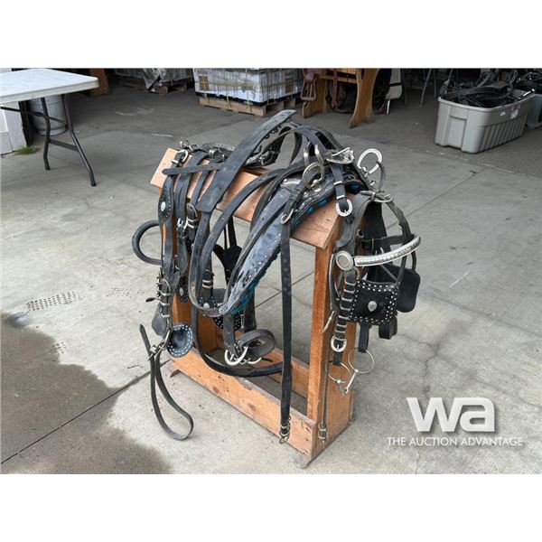 SINGLE DRIVING HARNESS AND BRIDLE