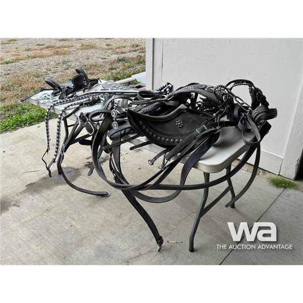 SINGLE LEATHER DRIVING HARNESS & BRIDLE