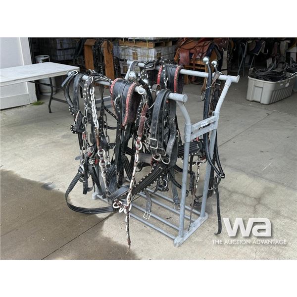 TEAM HARNESS WITH BRIDLES