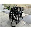 Image 3 : TEAM HARNESS WITH BRIDLES