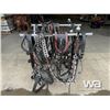 Image 6 : TEAM HARNESS WITH BRIDLES