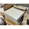 Image 15 : QTY. OF MISC. TILE