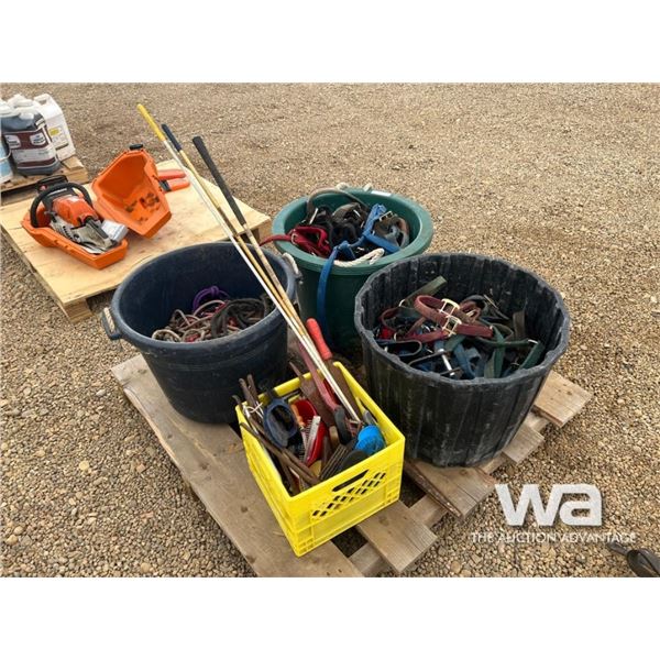 HORSE BRIDLES & BRUSHES