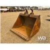 Image 1 : WELDCO BEALS 68 IN. CLEANUP BUCKET