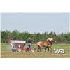 Image 20 : BETTERWAY S/A SEEDER/FERTILIZER SPREADER