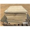 Image 5 : CEMENT SIDE WALK PADS