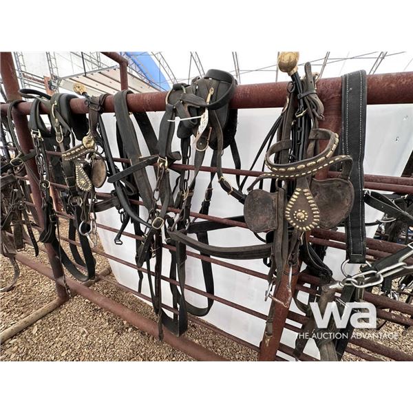 SET OF LEATHER HARNESSES WITH BRIDLES & LINES