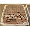 Image 6 : (2) PALLETS OF LANDSCAPE BRICK