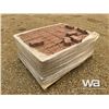 Image 4 : PALLET OF LANDSCAPE BRICK