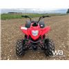 Image 12 : 2010 BAJA AT150SS ATV