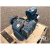 Image 2 : (2) KOHLER AIR COOL ENGINES