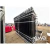 Image 7 : 40 PCS IRON FENCE