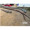 Image 3 : (12) CURVED STREET LIGHT POSTS