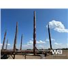 Image 29 : 2003 PEERLESS 48 FT. TRIDEM HAYRACK LOG TRAILER