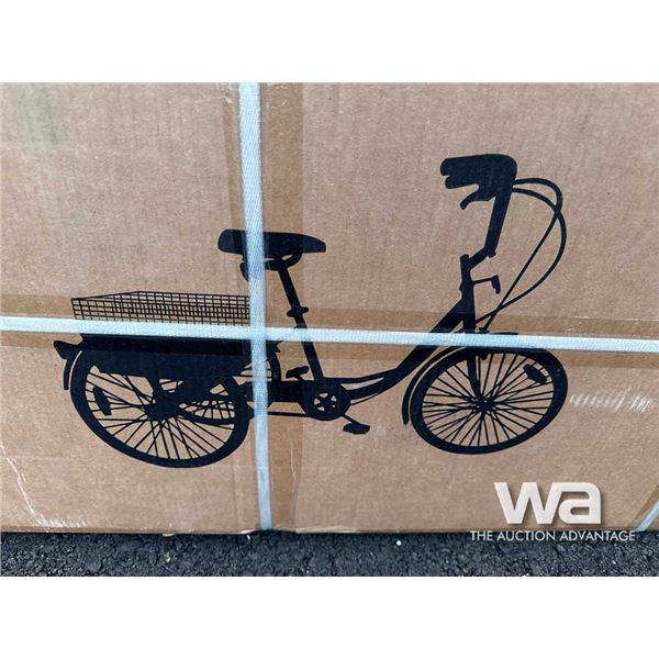 TRICYCLE WITH BASKET