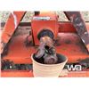Image 9 : AGROTATOR 3 PT. 51 IN. ROTOTILLER