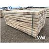 Image 3 : (50) 3X10X8 FT. POPLAR PLANKS