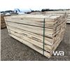 Image 3 : (240) 1X6X8 FT. POPLAR LUMBER