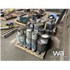 Image 4 : MISC. PAINT & PRIMER