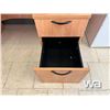 Image 4 : WOOD DECK W/ 2 CABINETS