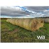 Image 1 : (35+/-) 2023 GREEN FEED BALES