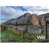 Image 3 : (100+/-) 2022 PEA, WHEAT, FESCUE BALES