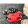 Image 7 : 2500 WATT POWERMATE GENERATOR, HOMELITE TRIMMER
