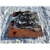 Image 3 : PALLET OF TRUCK TIRE CHAINS