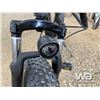 Image 9 : FAT TIRE ELECTRIC BIKE