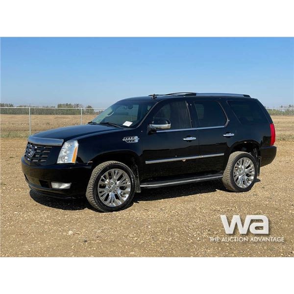 2008 CADILLAC ESCALADE SPORTS UTILITY VEHICLE