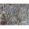 Image 12 : 612 SQUARE HAY BALES
