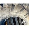 Image 5 : (1) FIRESTONE 1600X24 TIRE