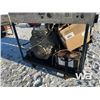 Image 6 : FARLEYS INT 3 3000 PSI PRESSURE WASHER