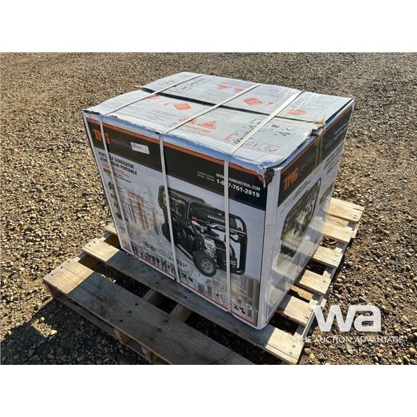 (UNUSED) TMG 12,000 WATT GENERATOR