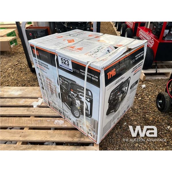 (UNUSED) TMG 12,000 WATT GENERATOR