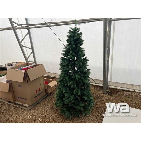 CHRISTMAS SPRUCE TREE