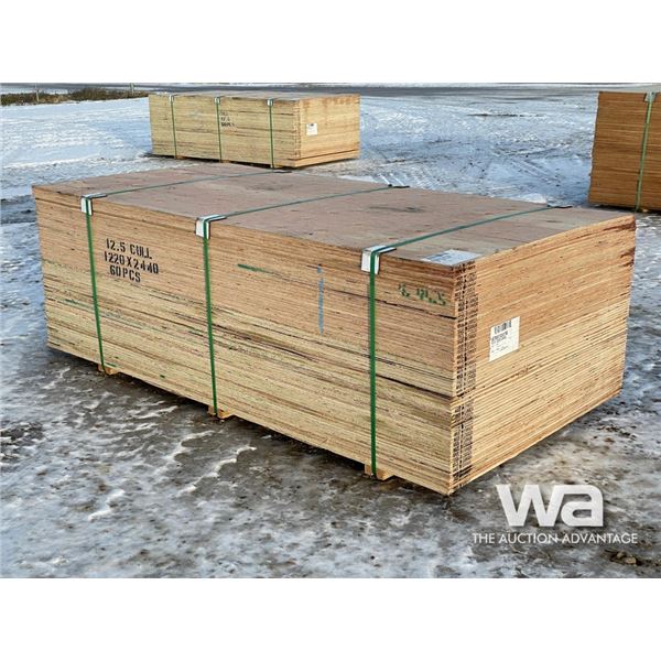 (60) 1/2 IN. 4 X 8 FT. CSP/DFP NO STAMP PLYWOOD