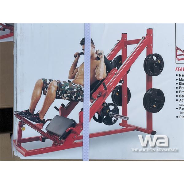 2 IN 1 LEG PRESS