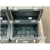 Image 6 : (2) SMALL TRANSPORT CASES