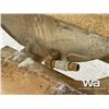 Image 6 : WATER TANK ON SKID