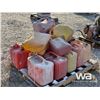 Image 4 : (17) GAS & DIESEL JERRY CANS