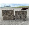 Image 6 : 4X6 4FT. PIPELINE SKIDS