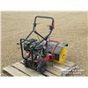 Image 3 : WALK BEHIND POWER SWEEPER