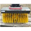 Image 7 : WALK BEHIND POWER SWEEPER